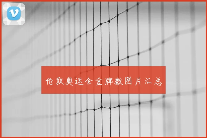 伦敦奥运会金牌数图片汇总